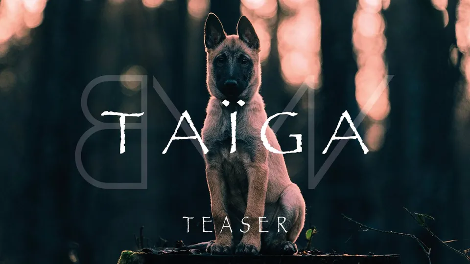 Taïga - Teaser
